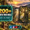 1200+ Aesthetic Trees Reels Bundle – trees, forests, greenery and calming nature aesthetics